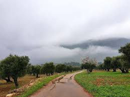 طقس غائم جزئيا.. تعرف إلى حالة...