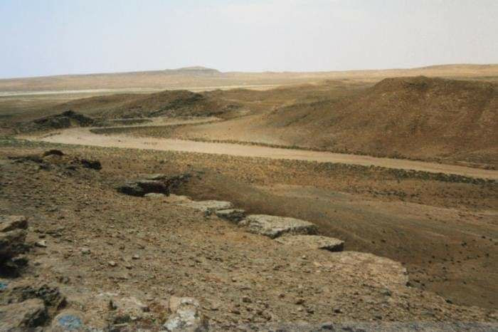 ضحايا الكمأة بارتفاع.. وفاة شخ...