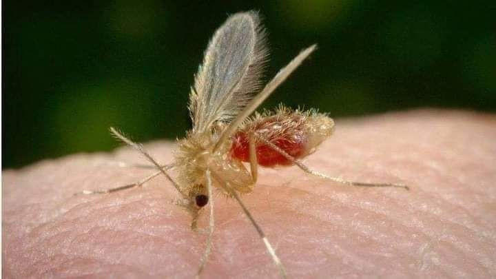 أهالي الغاب يستغيثون لإنقاذهم...