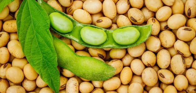 فول الصويا بديل اللحوم الحمراء...