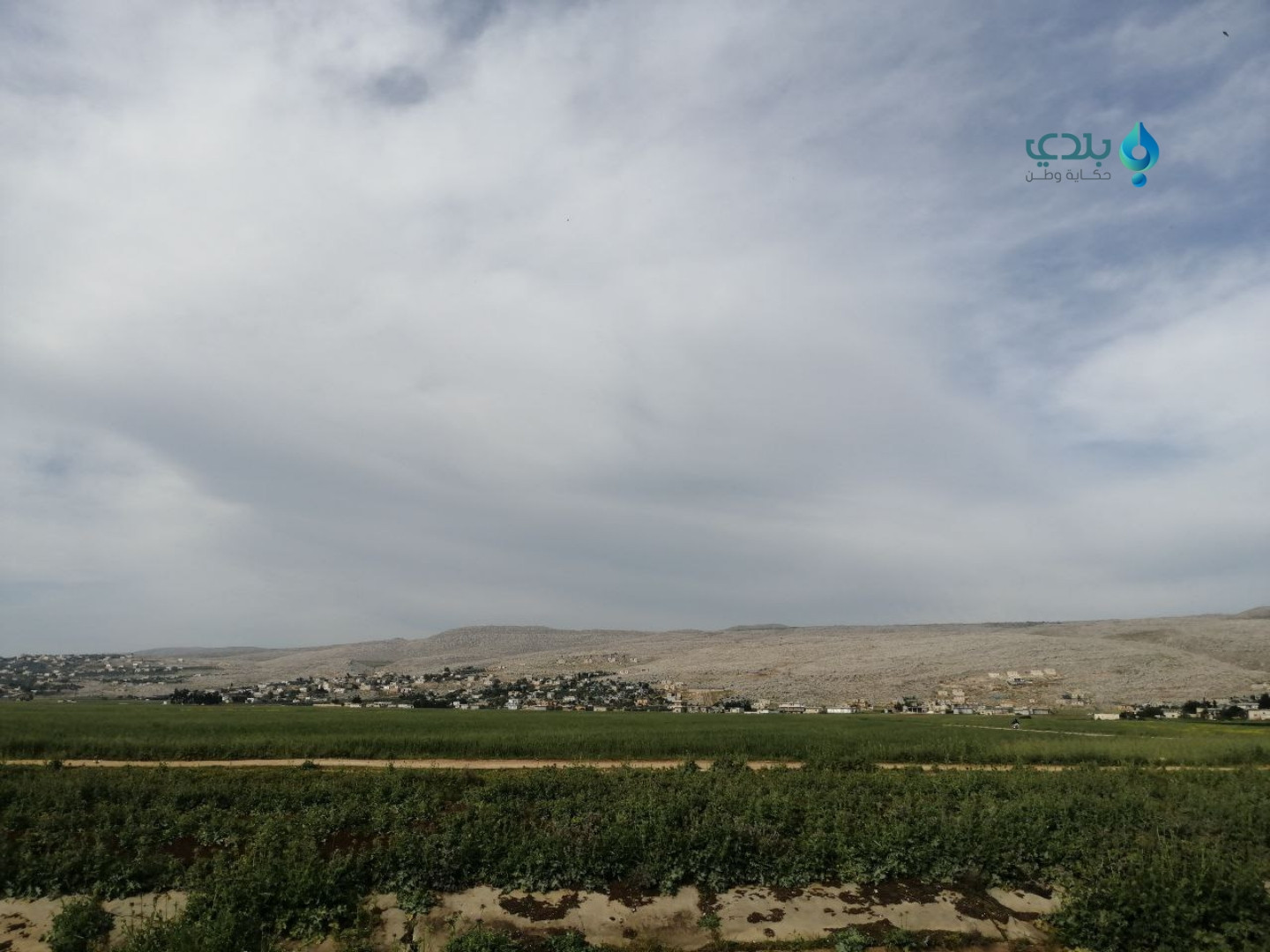 أجواء ربيعية.. حالة الطقس اليو...