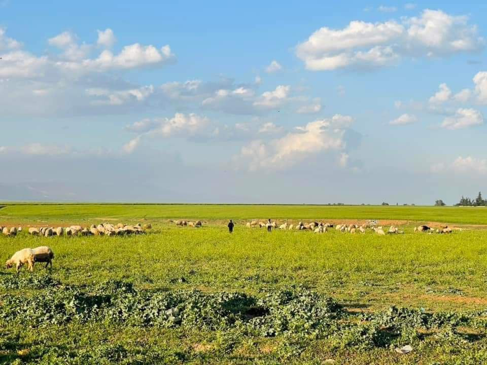 حول معدلاتها.. تعرف إلى حالة ا...