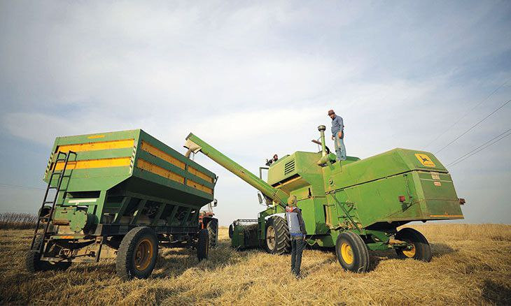 "تسعيرة القمح" الجديدة في سوري...
