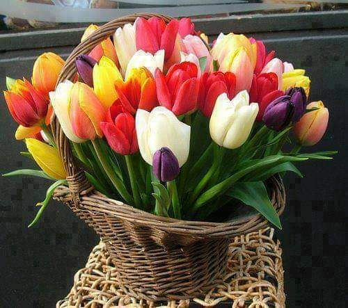 مهنة بيع "الورد" تتراجع في دمش...