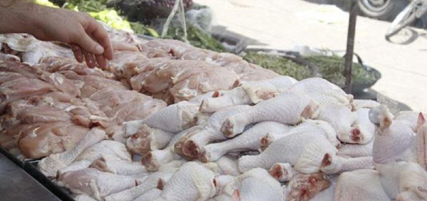 تقارير: انخفاض سعر الفروج لم ي...