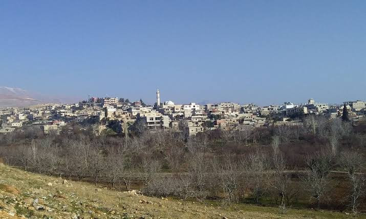 مصرع عنصرين من قوات النظام بهج...