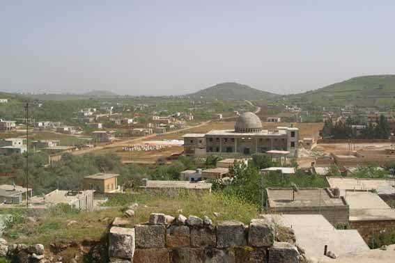 خلاف على "خلايا نحل" ينتهي بمق...