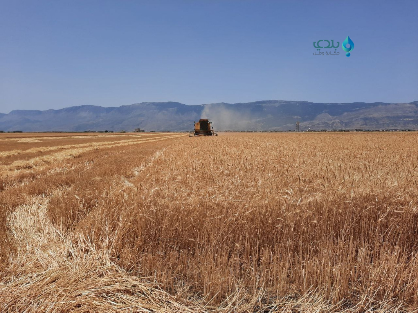 مزارعو إدلب يشتكون من تسعيرة ا...