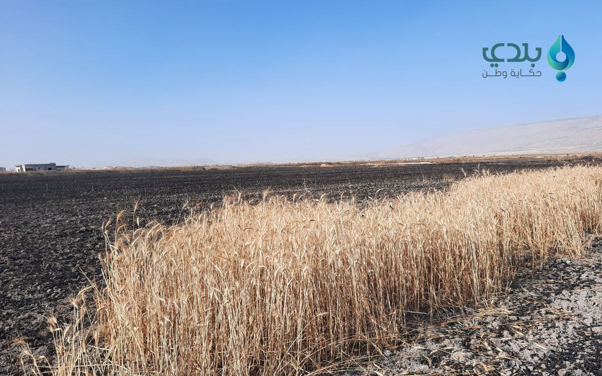 توثيق 17 حريقاً في إدلب وحلب خ...