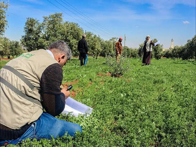 بسبب الري الحديث.. وزير الزراع...