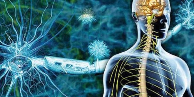 مرضى "التصلب اللويحي" يعانون ب...