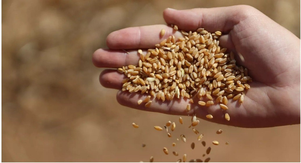 النظام السوري يكشف عن كميات ال...