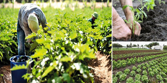 مرسوم تشريعي أصدره "اﻷسد" دون...