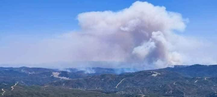 حرائق واسعة في جبال اللاذقية و...