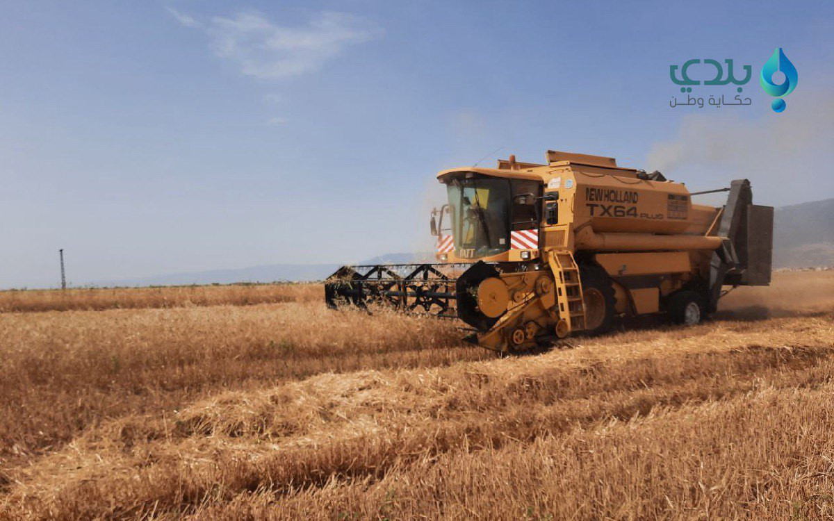 خسارة إضافية لمزارعي القمح في...