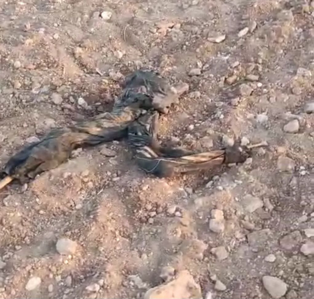 العثور على مقبرة جماعية جنوب الراعي بحلب