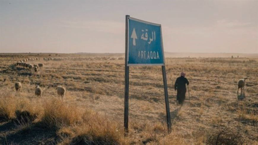 اختطاف راعي أغنام في الرقة وال...