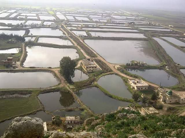 معمل أعلاف الأسماك الوحيد في ح...