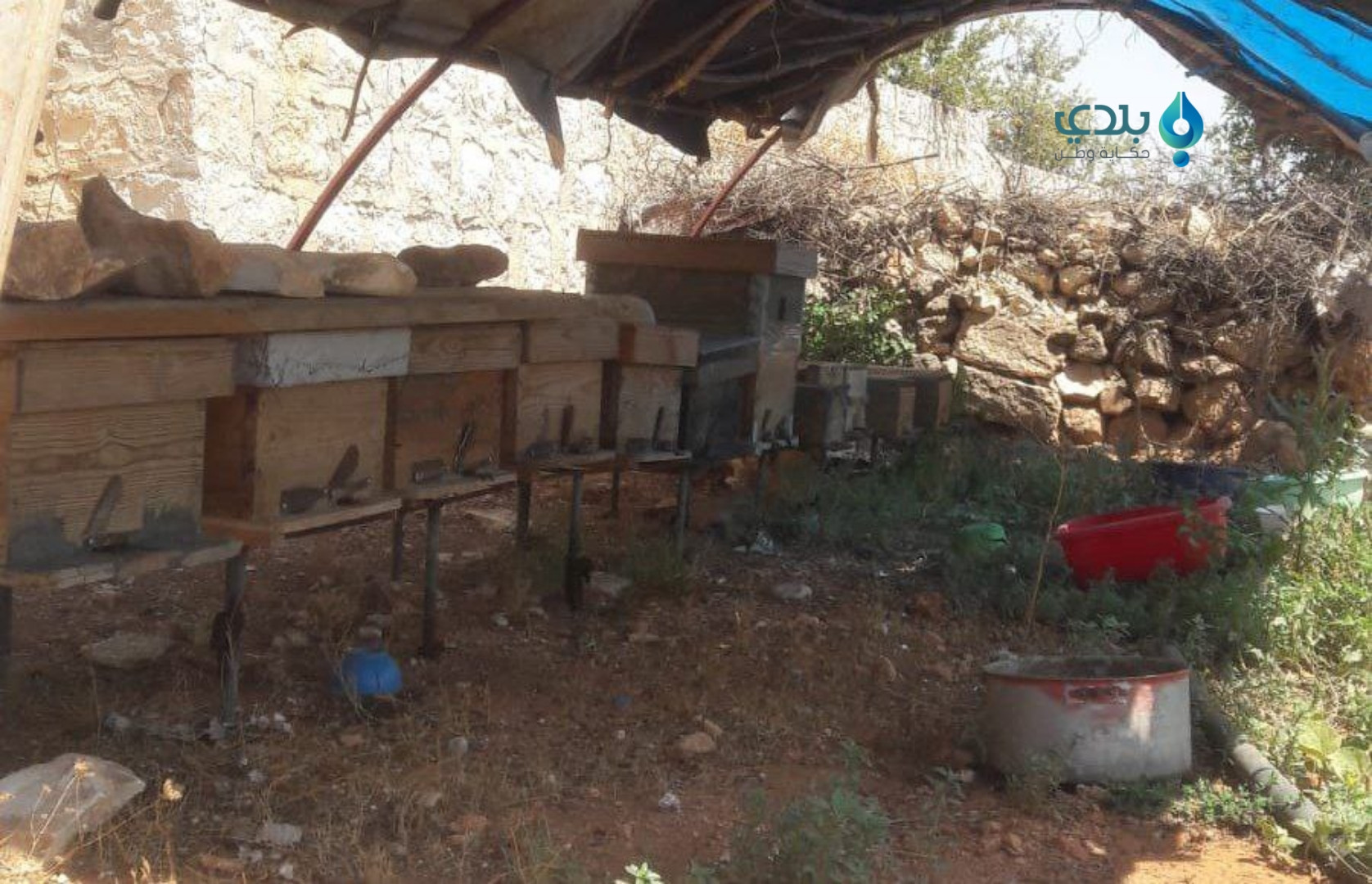 موجة الحر تكبد أصحاب المناحل خ...