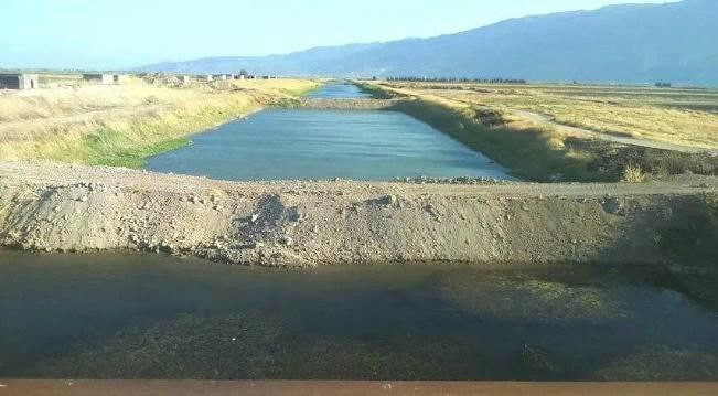 محاصيل سهل الغاب مهدّدة بـ"الت...