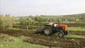 ارتفاع أجور الفلاحة في السويدا...