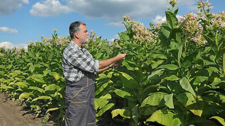 "صحيفة قاسيون": زيادة سعرية عل...