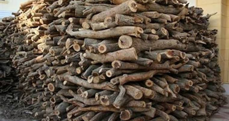 أسعار الحطب تقفز 200 % مقارنة...