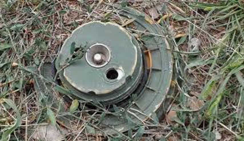 مصرع عنصر من قوات النظام بانفج...