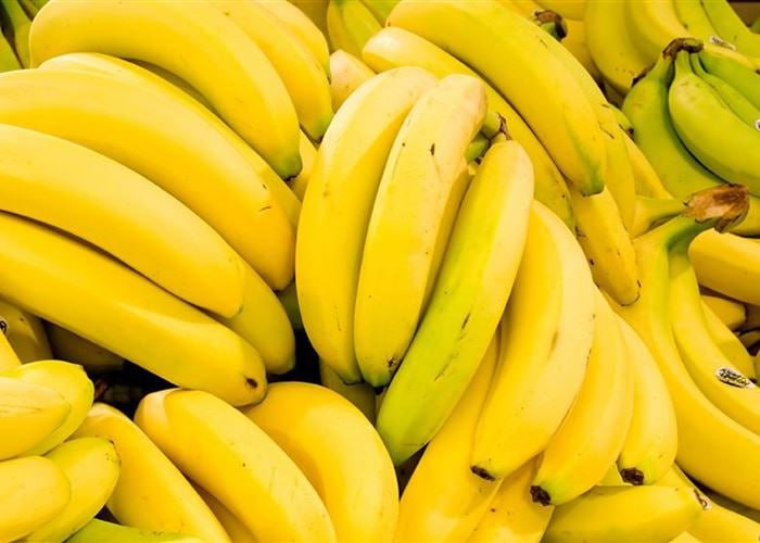 اقتصادي موال يفضح جحم الفساد ف...