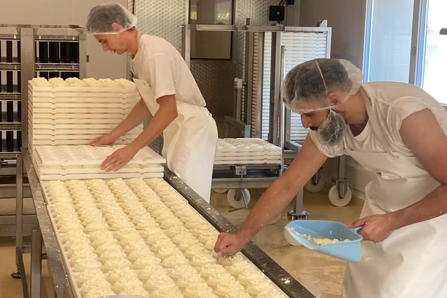 تقرير سويسري يسلط الضوء على قصة شابين أحدهما سوري تشاركا شغف صناعة الجبنة 