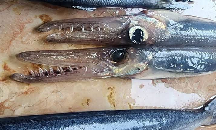 طرطوس.. "مسؤول حكومي" يكشف قصة...