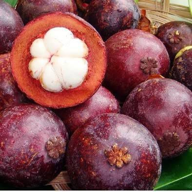 تحذيرات من التوجه للزراعات الا...