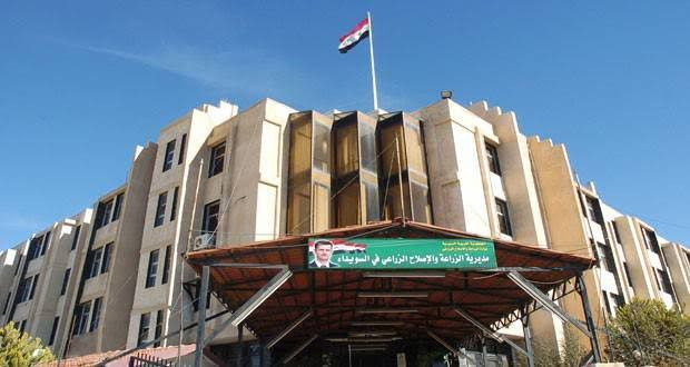 "مدير زراعة السويداء": الفلاح...