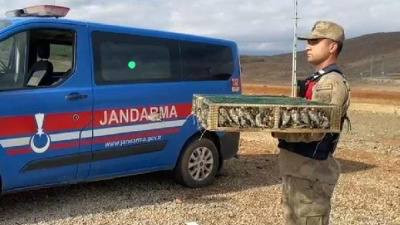 تغريم سوري بـ " 5.6" ملايين لي...