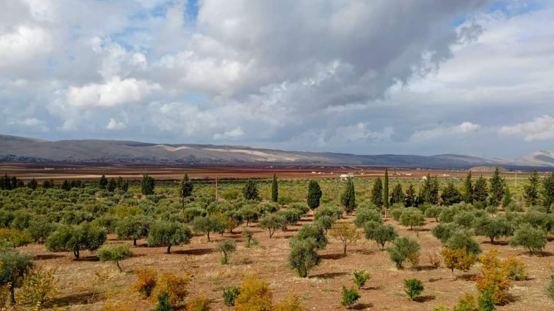 أدنى من معدلاتها.. تعرف على حا...