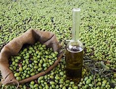 من المستفيد من قرار تصدير زيت...