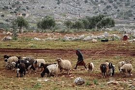 هجوم جديد في محافظة حماة ضحيته...