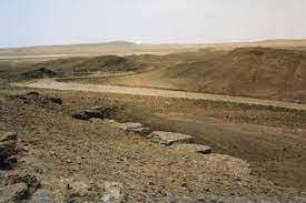 العثور على جثث عناصر في "الدفا...