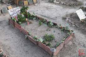 نقل رفات الشهداء من حديقة المش...