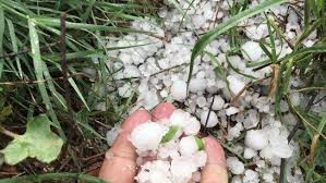 عاصفة مطرية مصحوبة بحبات البردتضر بالمحاصيل الزراعية في القامشلي وريفها