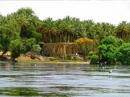 استيلاء على الأراضي وحرمان الأ...