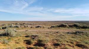 القوات الجويّة الروسيّة تستهدف سلسلة جبال "العمور" في ريف حمص و تدمر قاعدتين 