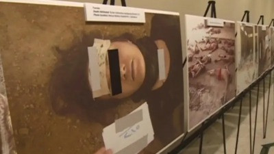 "المفوضية السامية لحقوق الإنسا...