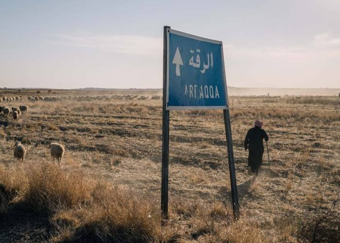 بهجوم مجهولين.. مقتل رعاة أغنا...