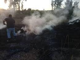 حرائق بالجملة في مدينة اللاذقي...