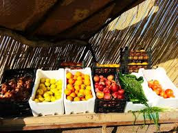 تهريب الخضار والمواد الغذائية إلى العراق يزيد أسعارها في البو كمال