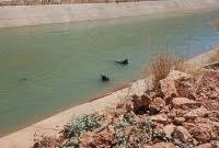 وفاة شاب سوري في سد بمنطقة "سو...