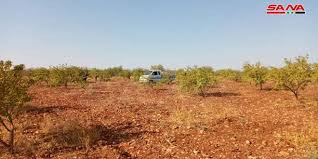 ارتفاع ملحوظ في أسعار اللوز تش...