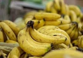 مسؤول  حكومي "تراجع وزن عنقود الموز بنحو 60 كيلو"