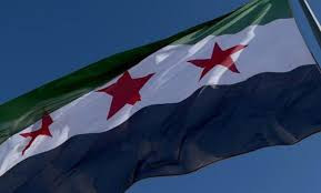 "مجلس الشعوب الديمقراطي" يرفع علم "الثورة السورية" في شمال وشرق سوريا